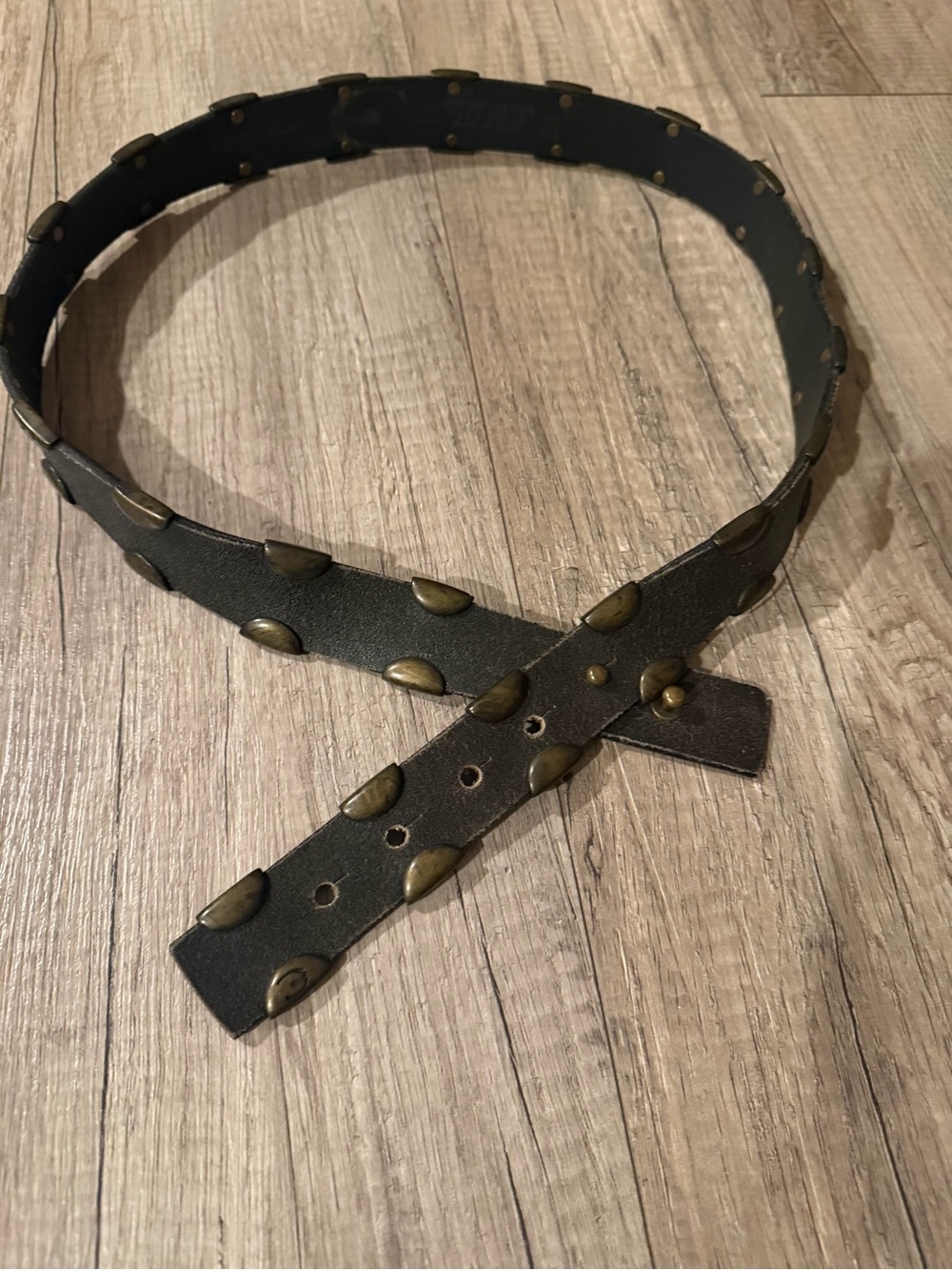 Cavalli dark brown studded woman leather belt